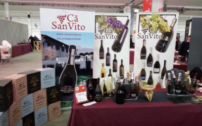 Bassano wine festival!