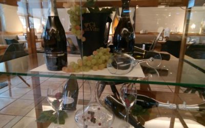 Al Van Gogh il Prosecco é Ca’ San Vito | Santa Giustina Belluno